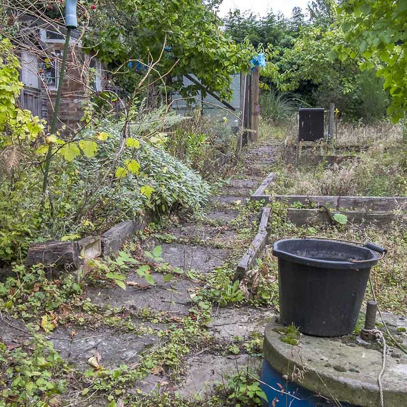 Gardens Cleared Across The Tonbridge, Tunbridge Wells and Sevenoaks area