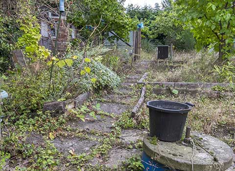 Gardens Cleared Across The Tonbridge, Tunbridge Wells and Sevenoaks area
