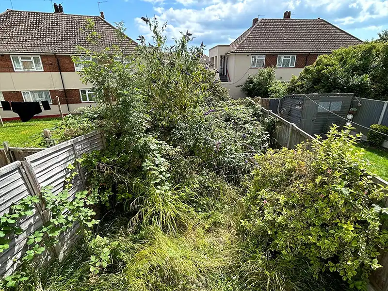 Garden Clearance Services The Weald